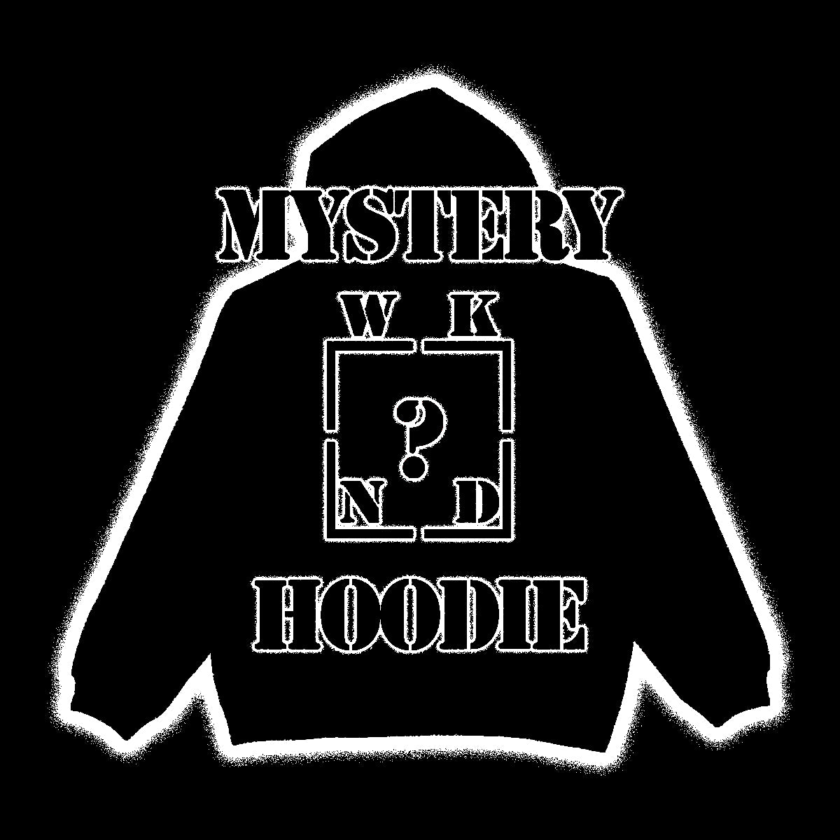 Mystery Hoodie