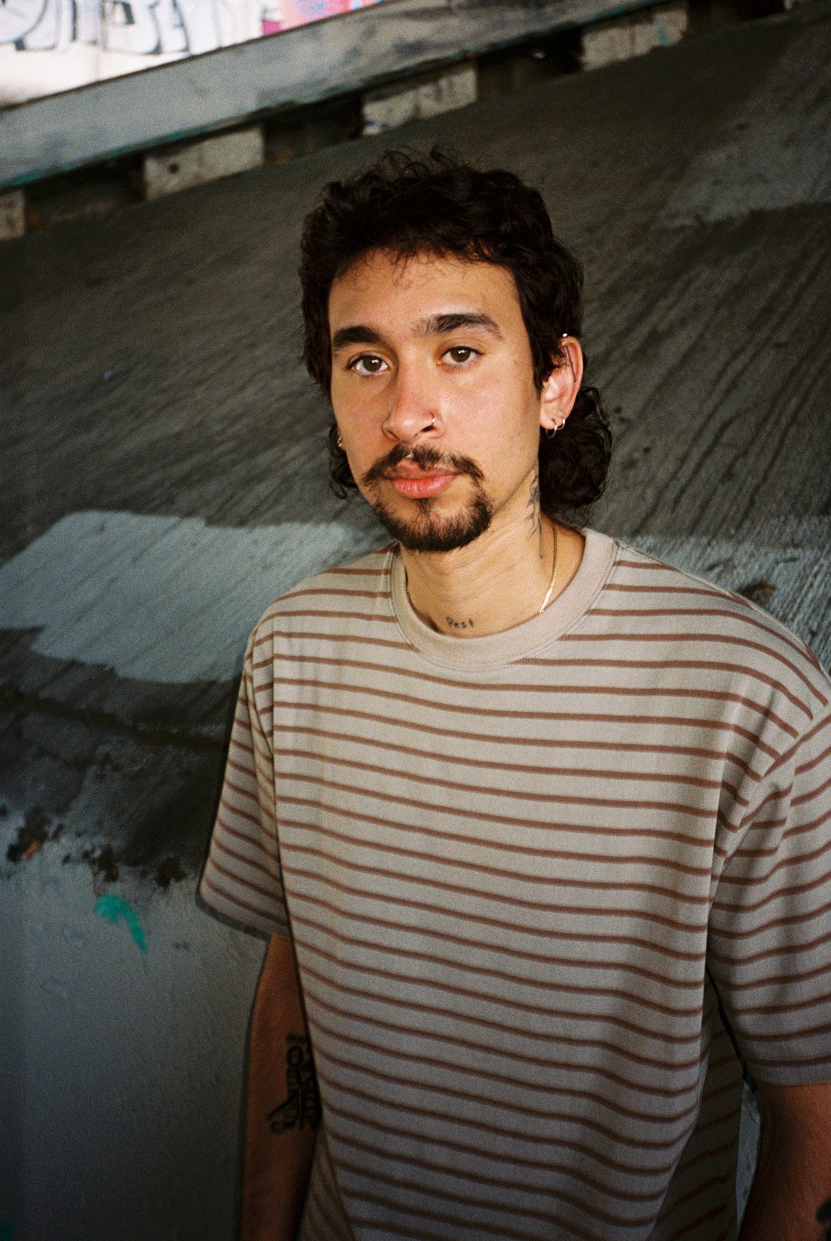 Stripe Tee - Sage & Brown